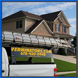 Verminators Wildlife Removal Verminators Wildlife Removal